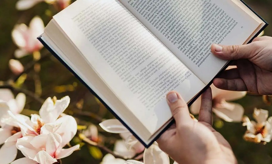 lecture livre dans les mains